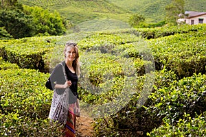Cameron Highlands Bharat tea plantation photo