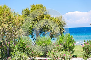 Landscape in Zakynthos island, greece