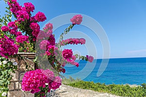 Landscape in Zakynthos island, greece