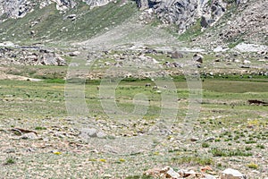 Landscape of Zanskar - Leh Ladakh, Jammu and Kashmir, India