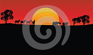 Landscape zebra and rhino silhouette with sun