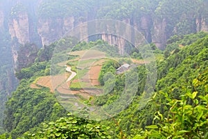 Landscape in Zhangjiajie of China