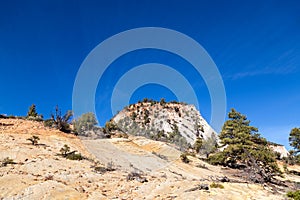 Landscape in Zion National Park