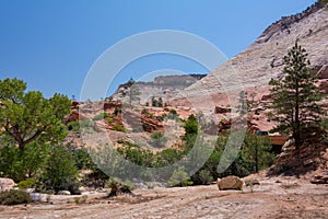 Landscape in Zion National Park, Utah USA