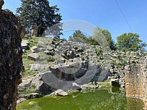 The landscape of the Zurich zoo or The Zoo ZÃÂ¼rich - die Landschaft des zÃÂ¼rcher Zoos oder Zuerich Zoologischer Garten - ZÃÂ¼rich photo