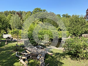 The landscape of the Zurich zoo or The Zoo ZÃ¼rich - die Landschaft des zÃ¼rcher Zoos oder Zuerich Zoologischer Garten - ZÃ¼rich