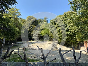 The landscape of the Zurich zoo or The Zoo ZÃ¼rich - die Landschaft des zÃ¼rcher Zoos oder Zuerich Zoologischer Garten - ZÃ¼rich