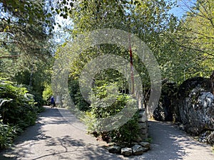 The landscape of the Zurich zoo or The Zoo ZÃÂ¼rich - die Landschaft des zÃÂ¼rcher Zoos oder Zuerich Zoologischer Garten - ZÃÂ¼rich photo