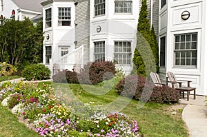 Landscaped apartment flowerbeds photo