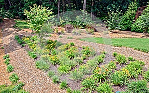 Landscaped Area of a Yard