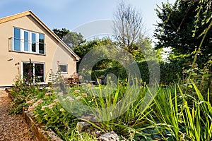 Landscaped domestic garden in the sunlight