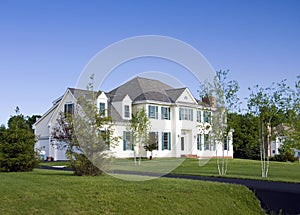 Landscaped Estate Paved Driveway photo