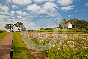 Landscaped flower garden