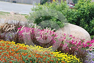 Landscaped flower garden