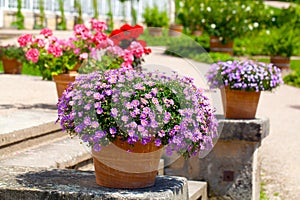 Landscaped flower garden