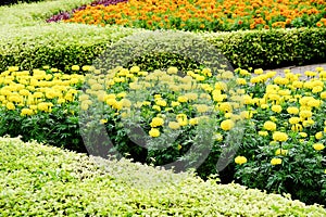 Landscaped flower garden