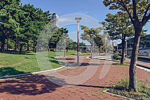 Landscaped footpath of APEC Naru park