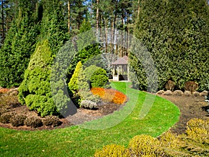 landscaped garden with conifers and bower