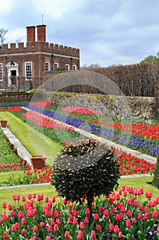 Landscaped garden full of colourful tulips with a red brick buidling in the background