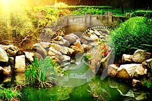 Landscaped Garden with Pond