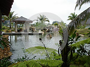 Landscaped garden with a pond and waterfalls