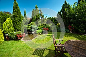 Landscaped garden in summer