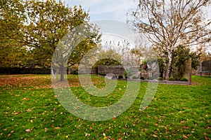 Landscaped garden with trees in autumn