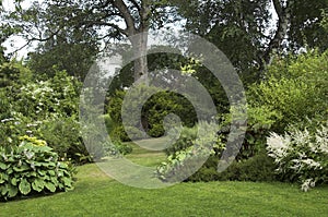 Landscaped garden with trees shrubs