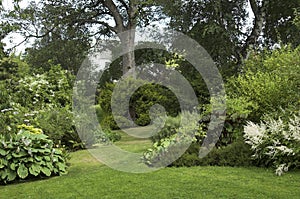 Landscaped garden with trees shrubs