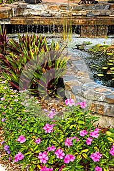 Landscaped garden with waterfall