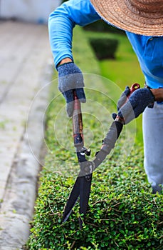 Landscaped Garden Workers