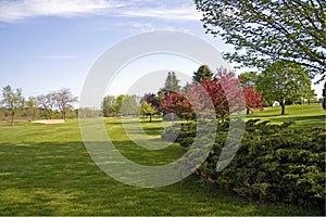 Landscaped Golf Course