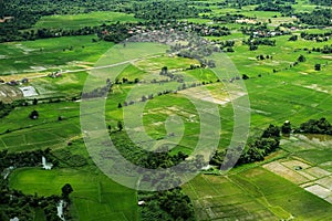 Landscaped high angle view of rice field in countryside Vang Vieng, Laos