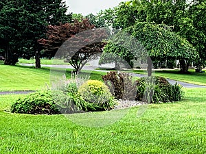 Landscaped island in front of home including weeping cherry tree