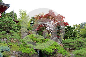 A landscaped Japanese garden with a glimpse of two pagodas and a Japanese stone lantern in California