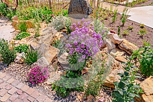 Landscaped natural rock garden with plants, succulents, rocks and stones