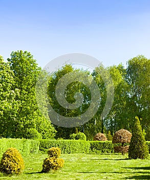 Landscaped park with a garden bed and various trees and shrubs on the lawn, evergreens and seasonal plants