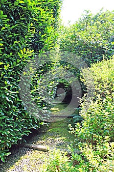 Landscape Park on the island of Isola Madra photo