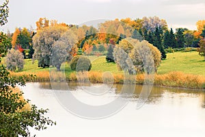 Landscaped Park with lawns and groups of yellow trees