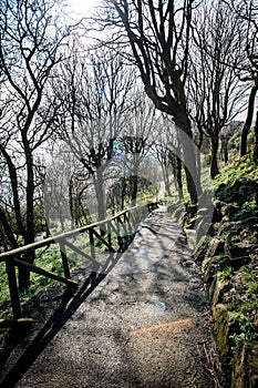 Landscaped public cliff walks