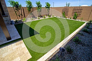 Landscaped Rear Yard Setting With Grass