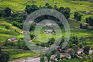 Landscaped Scenery View of Agriculture Rice Fields, Nature Landscape of Rice Terrace Field at Sapa, Vietnam. Panorama Countryside