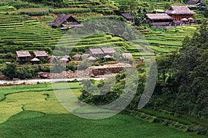 Landscaped Scenery View of Agriculture Rice Fields, Nature Landscape of Rice Terrace Field at Sapa, Vietnam. Panorama Countryside