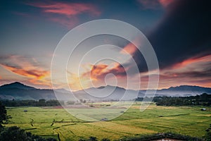 Landscaped Scenery View of Agriculture Rice Fields, Nature Landscape of Rice Terrace Field at Sunset. Panorama Countryside Valley