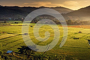 Landscaped Scenery View of Agriculture Rice Fields, Nature Landscape of Rice Terrace Field at Sunset. Panorama Countryside Valley