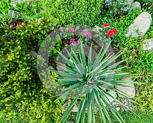 Landscaped summer garden with green plants, rocks, flowers