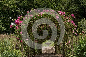 Landscaped traditional English garden with summer flowers