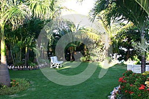 Landscaped tropical garden photo