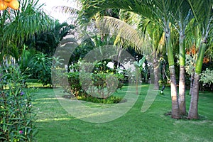 Landscaped tropical garden photo