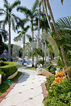 Landscaped tropical villa